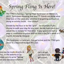 2019 TTNO Spring Fling